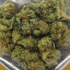 Buy White Gold strain Online